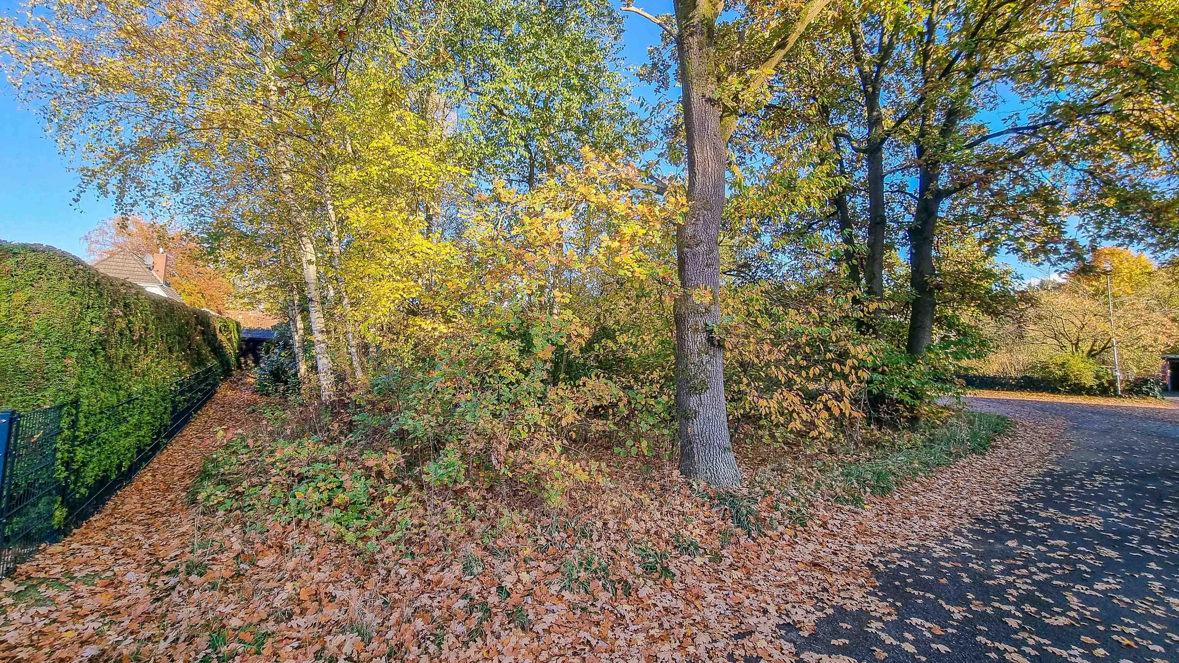 Baugrundstück - linke Seite