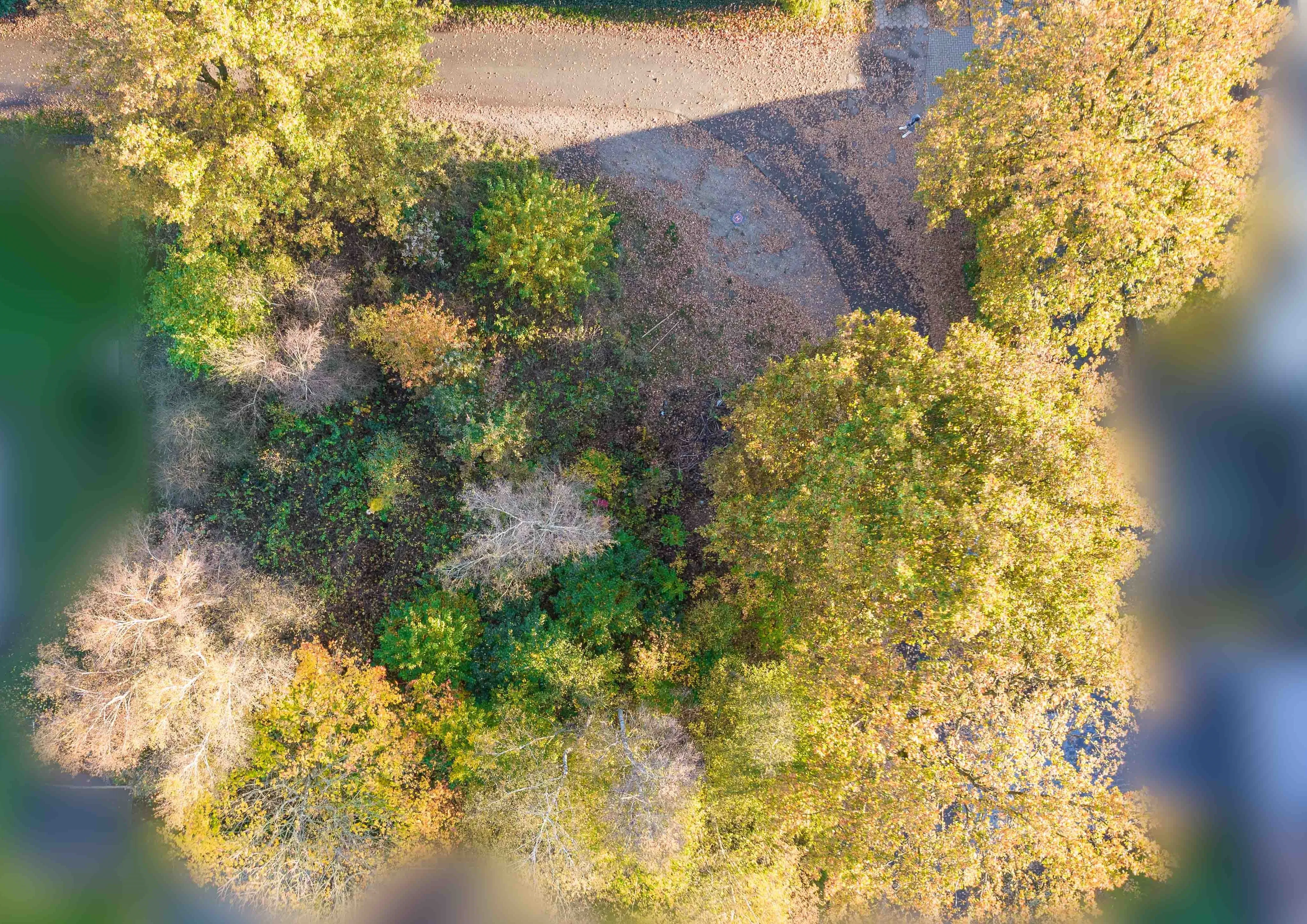 Baugrundstück - Draufsicht