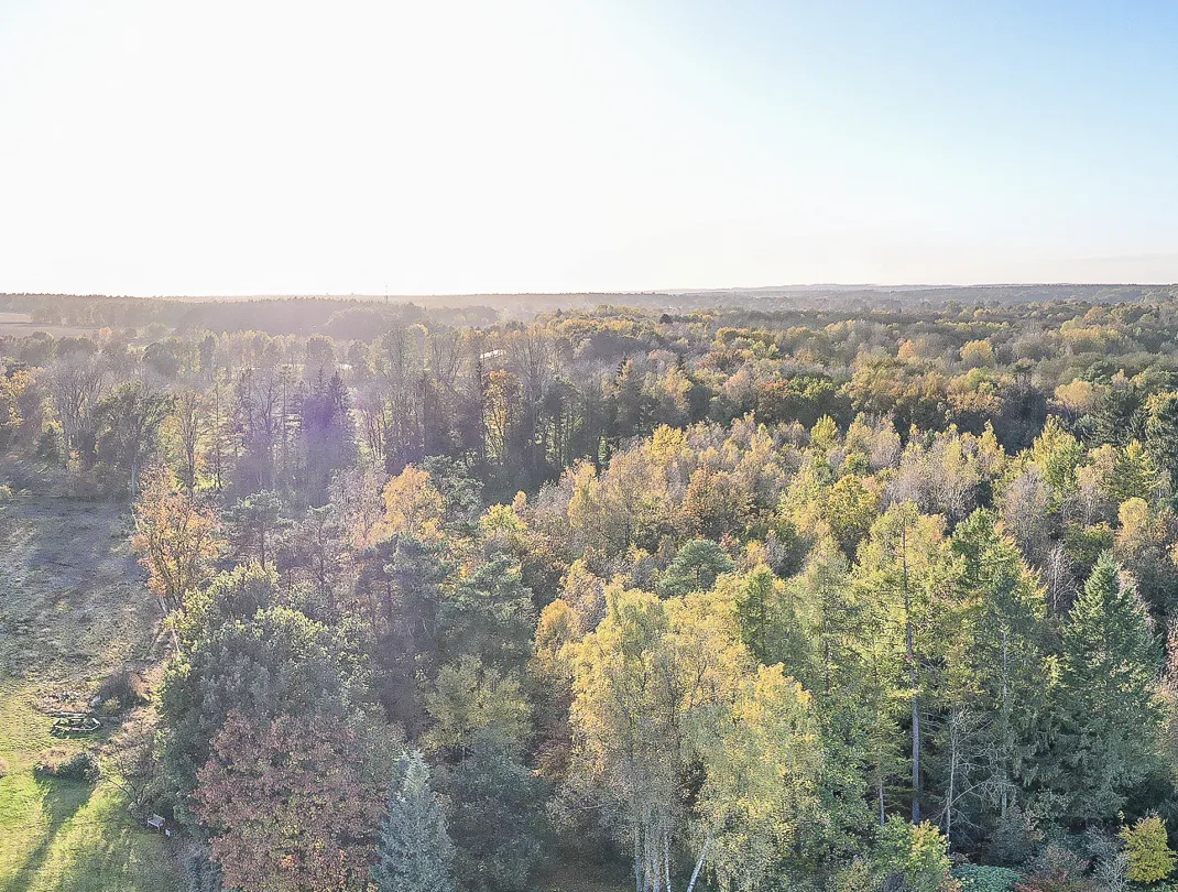 Luftaufnahme der Umgebung des Baugrundstücks